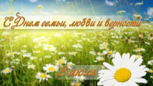 Главная