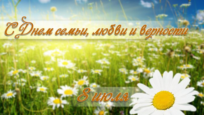 Главная Главная