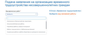 Регистрация несовершеннолетних граждан на единой цифровой платформе «работа в России»