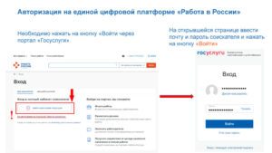 Регистрация несовершеннолетних граждан на единой цифровой платформе «работа в России»