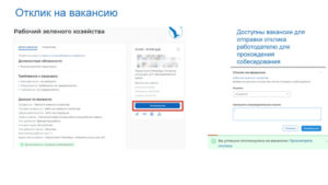 Регистрация несовершеннолетних граждан на единой цифровой платформе «работа в России»