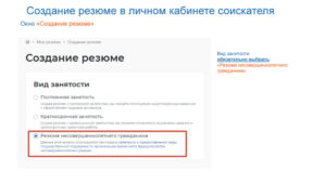 Регистрация несовершеннолетних граждан на единой цифровой платформе «работа в России»