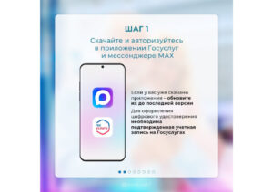 Подтвердить льготы многодетной семьи можно через приложение МАХ