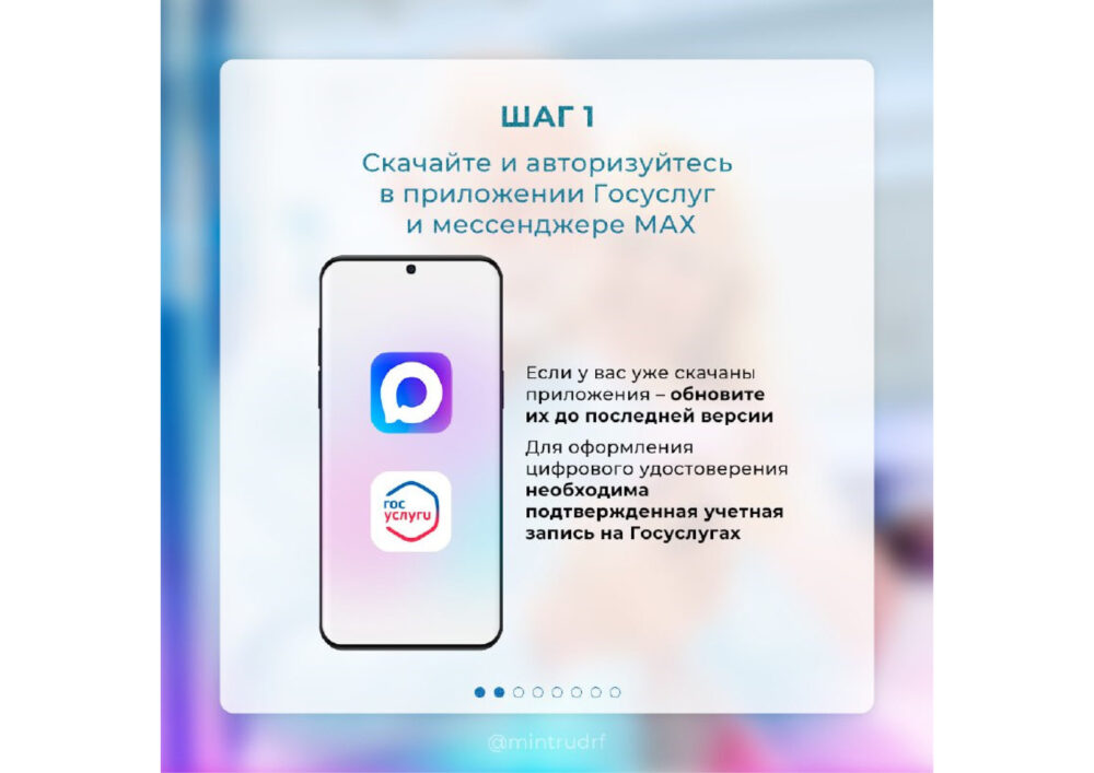 Подтвердить льготы многодетной семьи можно через приложение МАХ
